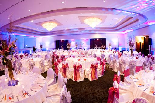 Purple Orchid New Jersey Indian Reception (4)