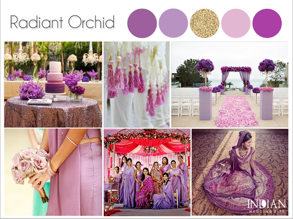 Radiant Orchid Indian Wedding Palette