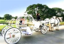 Baraat Horse Services by Vintage Carriage Company