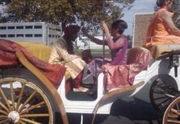 Baraat Horse Services by Vintage Carriage Company