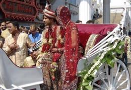 Baraat Horses and Carriages