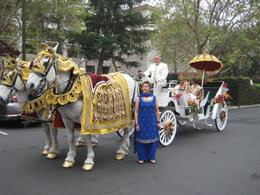 Enchanted  Carriages