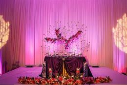 Blue and Purple Orchid Themed Indian Reception