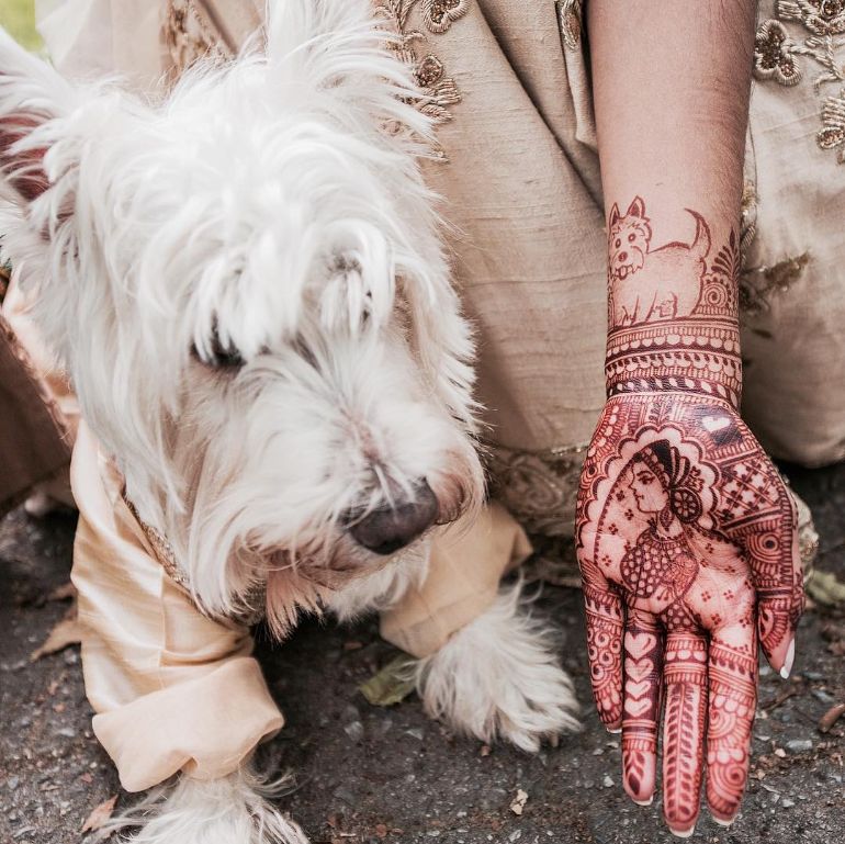 henna for all ny - pets