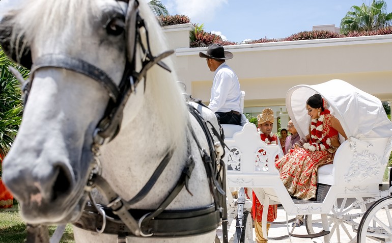 Horse-carriage-moon-palace