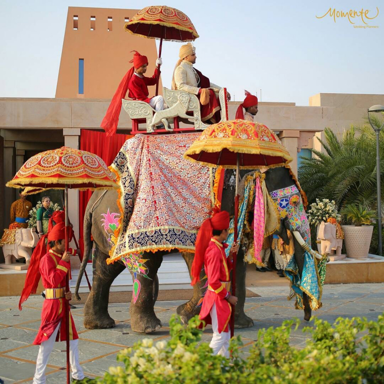 momenteweddings - ELEPHANT momenteweddings - ELEPHANT
