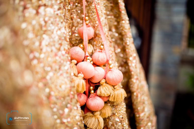 pompom- shutterdown photography pompom- shutterdown photography