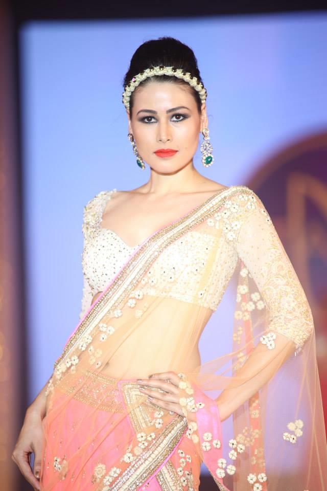 Hindu Bridal Mantra Show Sari