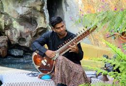 Sitar by Ronobir