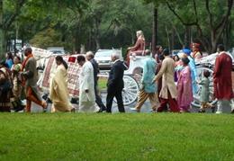 Sunshine Carriages of Sarasota