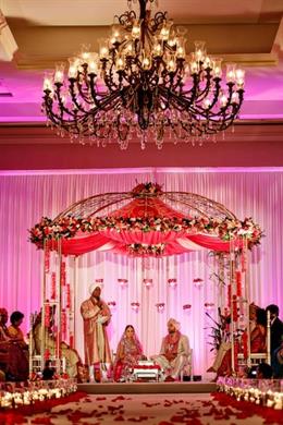 Blue and Purple Orchid Themed Indian Reception