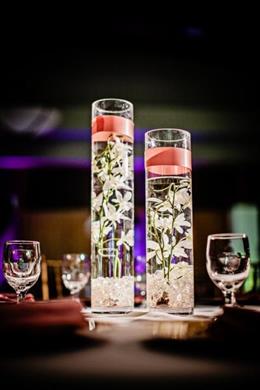 Sacramento California Punjabi Indian Wedding Reception