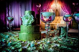 Sacramento California Punjabi Indian Wedding Reception