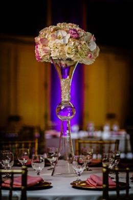 Sacramento California Punjabi Indian Wedding Reception