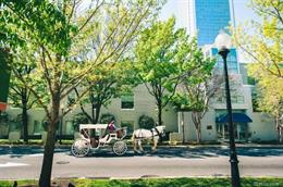 North Carolina Indian Wedding by Vesic Photography