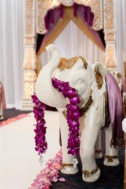 Florida Multicultural Indian Wedding by Kimberly Photography